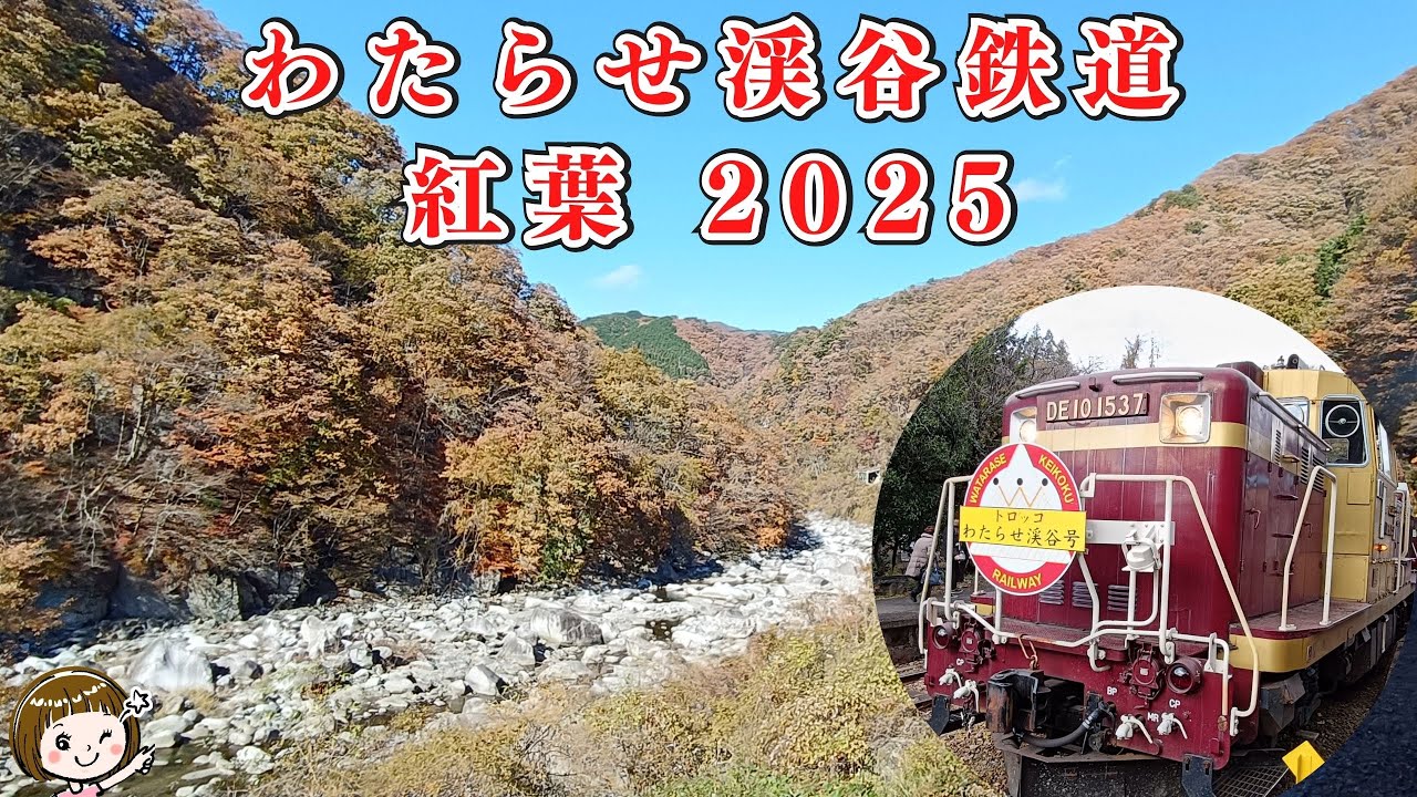 わたらせ渓谷鉄道トロッコ列車で絶景を楽しむ！（2025/11/21）