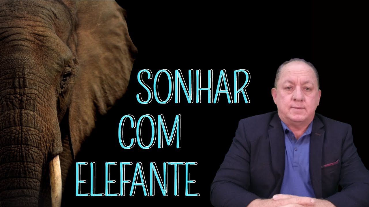 O QUE SIGNIFICA SONHAR COM ELEFANTE