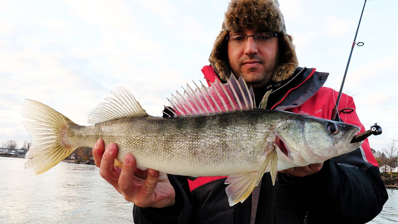 Flexi Jig Walleye