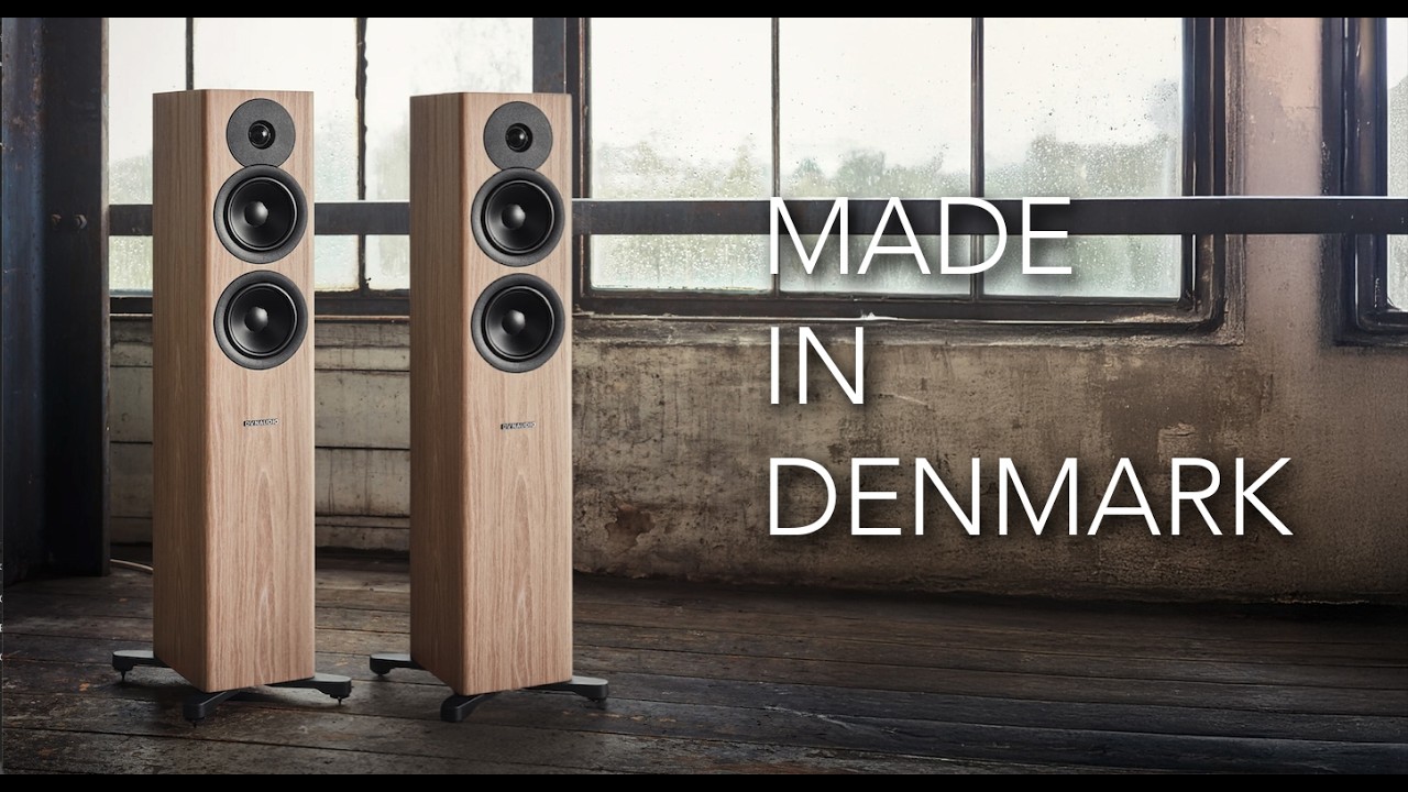 DYNAUDIO Evoke 30: The PERFECT Small/Mid Size Room Speaker