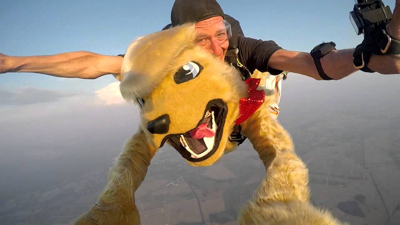 Skydive KIBI