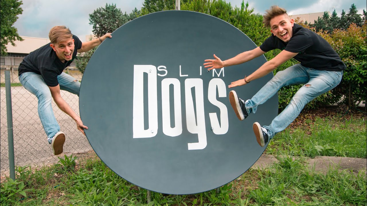 La parabola è FINITA - #DomandeDaCani - Cane Secco