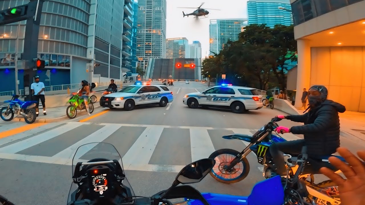 We Live In a Gta Server 