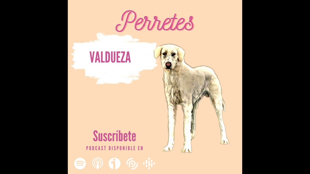 Ep73: Valdueza.
