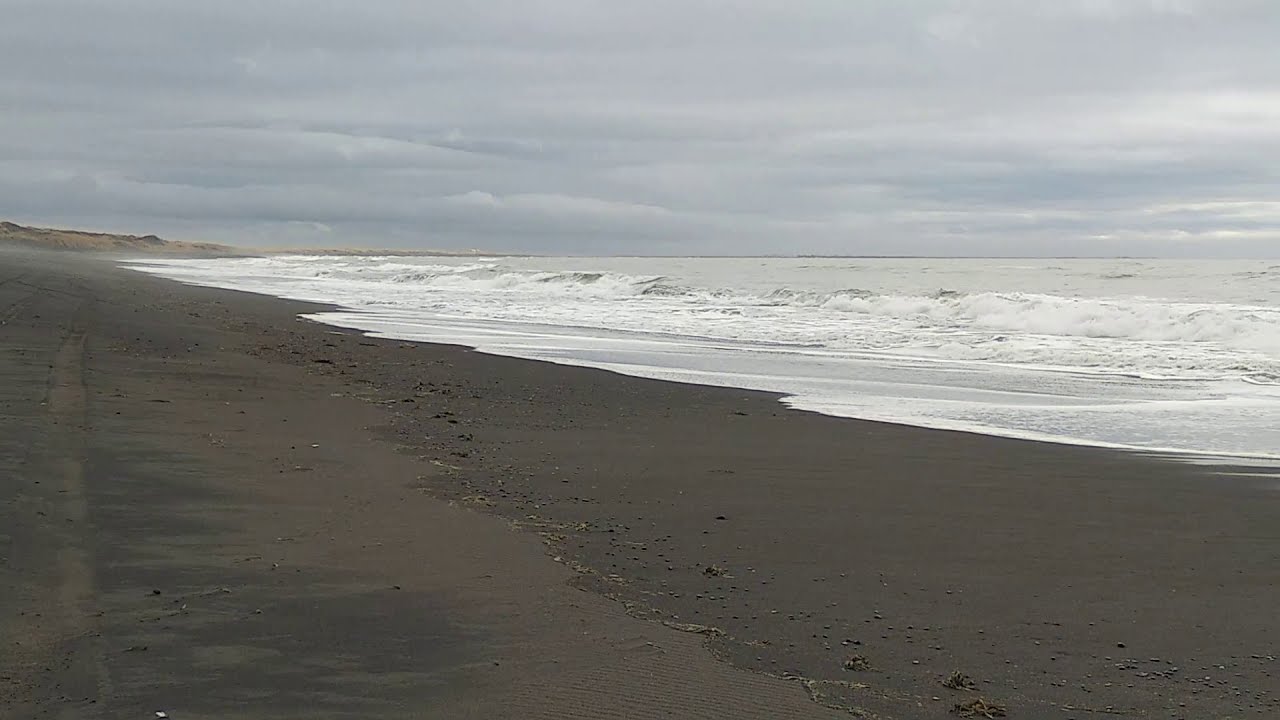 Black beach 🌍 Thorlakshöfn, south Iceland 🇮🇸