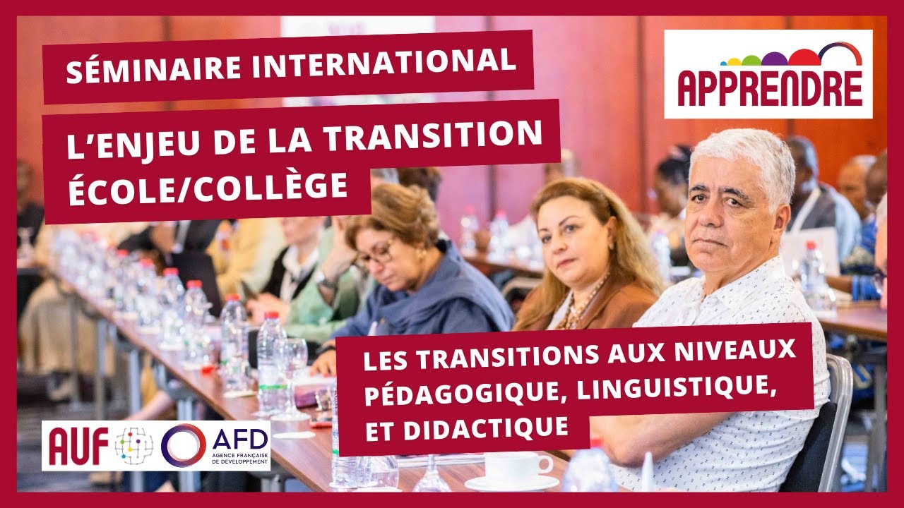 Restitutions d'études: Les transitions aux niveaux pédagogique, linguistique, et didactique