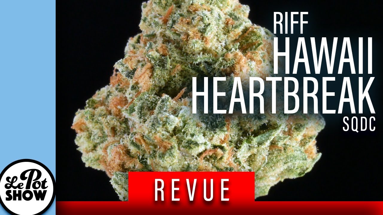 revue cannabis : Hawaii Heartbreak (headstash) / RIFF #SQDC