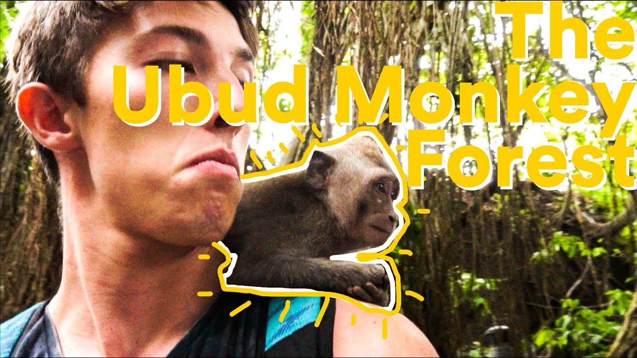 Bali Ubud Monkey Forest! (monkeys steal everything)