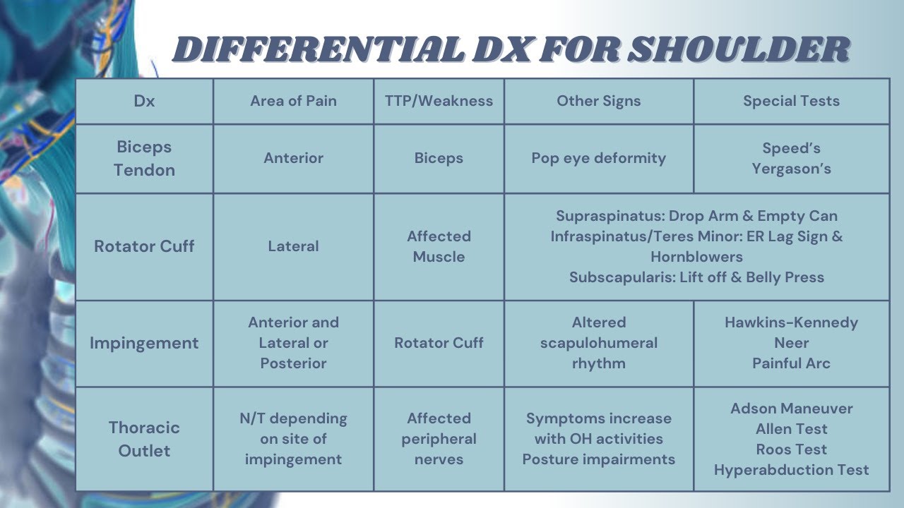 Shoulder Pathology and Differential Diagnosis with NPTE Musculoskeletal Practice Question Part 1