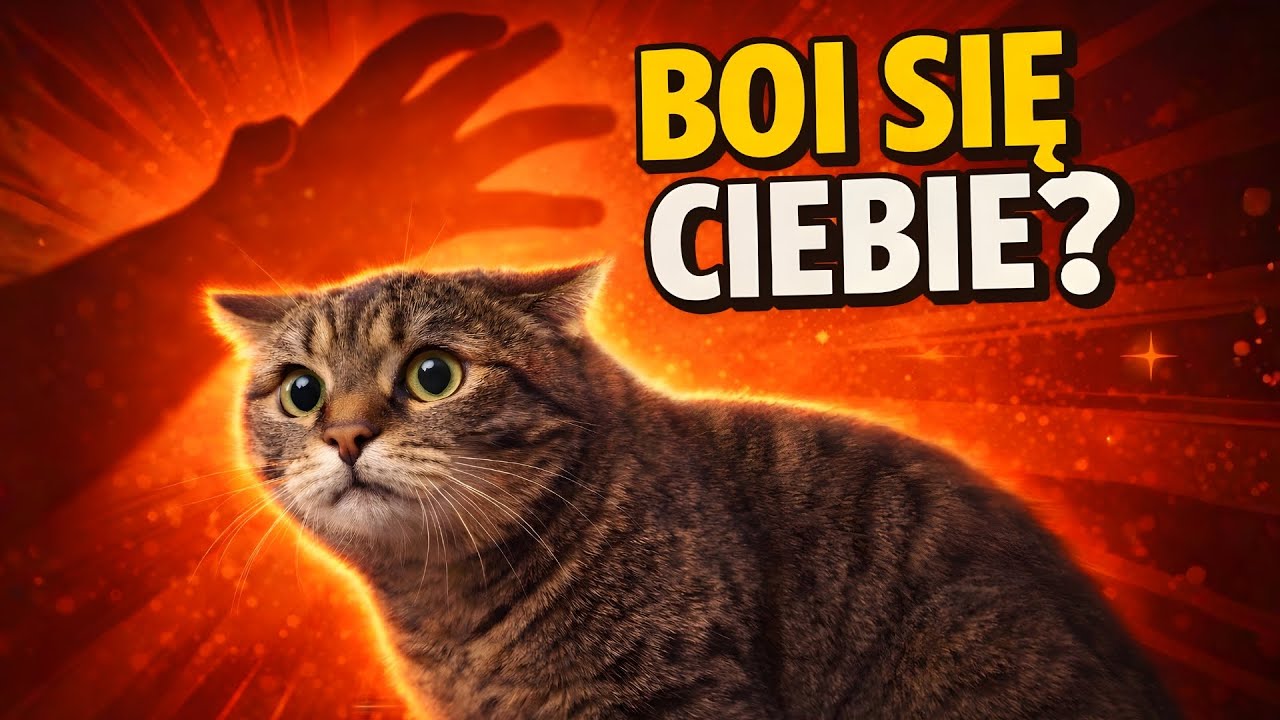 Czy KOT czuje się przy Tobie BEZPIECZNIE?