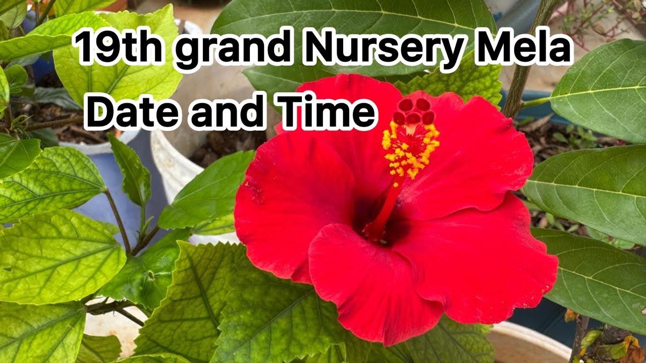 Hyderabad లో grand Nursery Mela details
