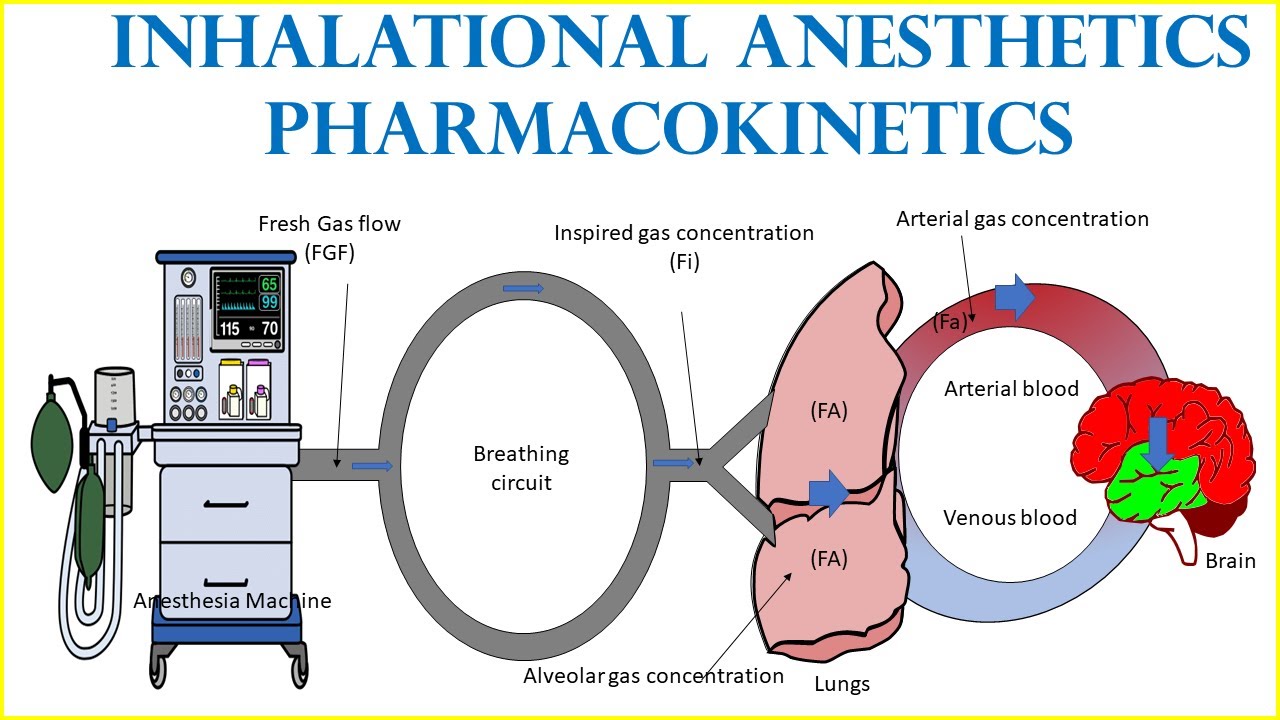 PHARMACOKINETICS OF INHALATIONAL AGENT (Full Video)