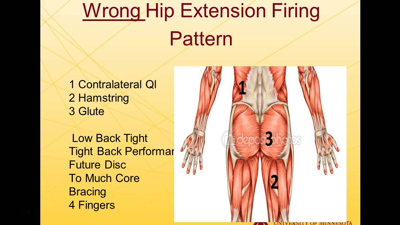 Triphasic Training - Glute Pattern Dysfunction - RPR Reset - Posterior Chain Series 6.1 Part 2
