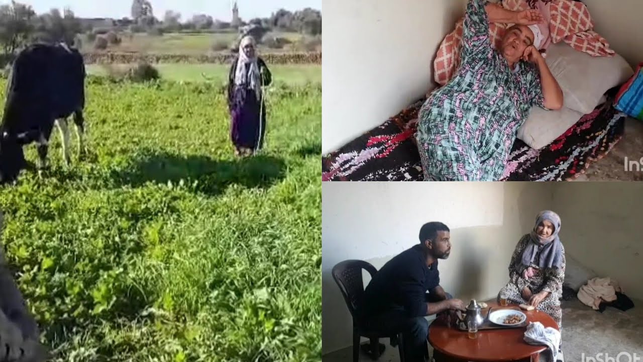 راني نكافح ونتعلم غير تبقا ليا أمي حية وزواج غير نصيب والى مكتابش بلاش منو