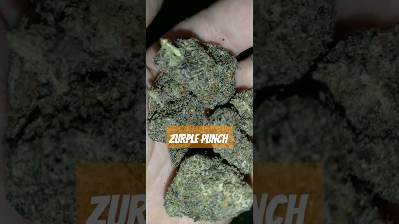 ZURPLE PUNCH