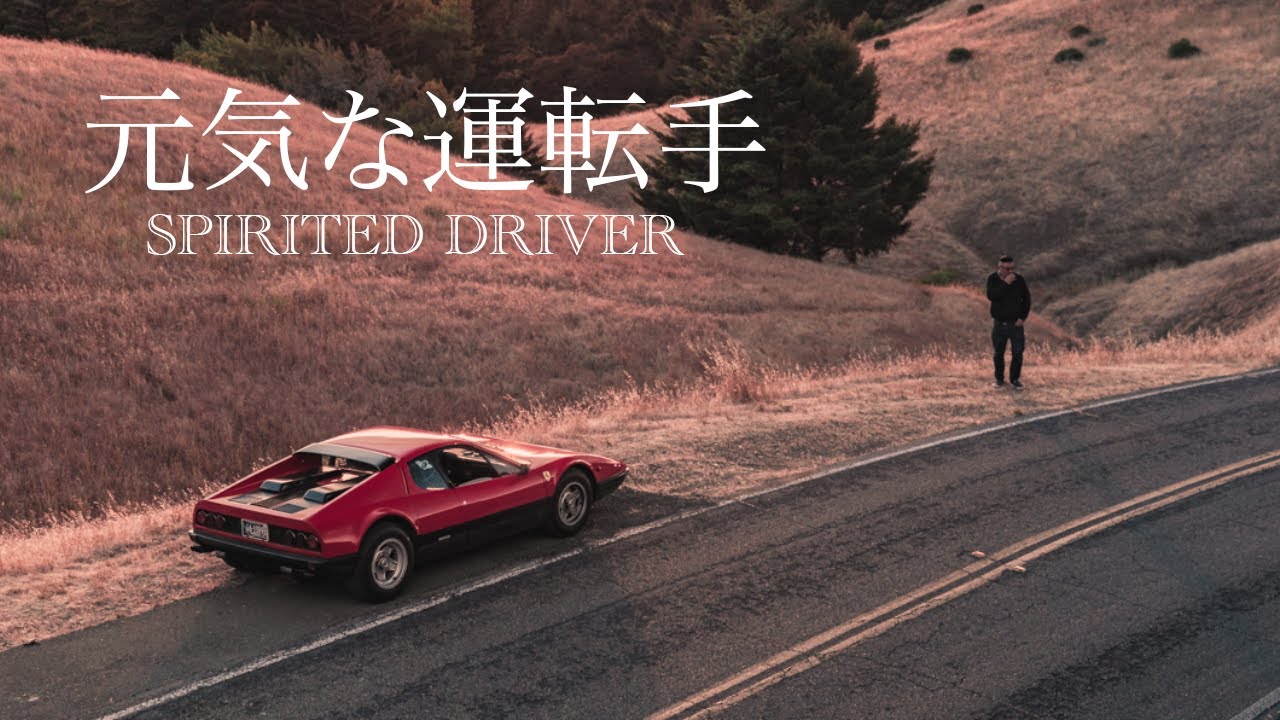 Ferrari 365 GT4 BB - Spirited Driver