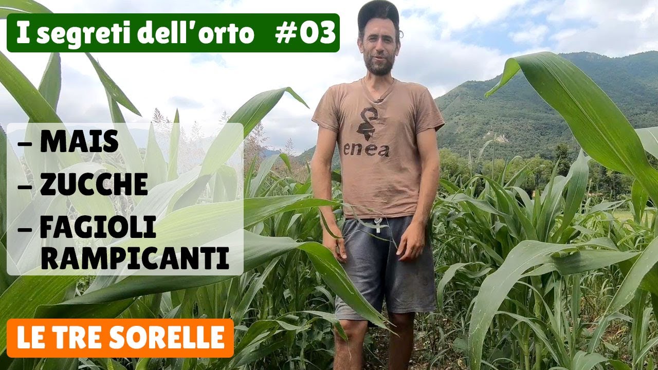 Tre Sorelle: MAIS, ZUCCHE e FAGIOLI RAMPICANTI #03 I segreti dell'orto