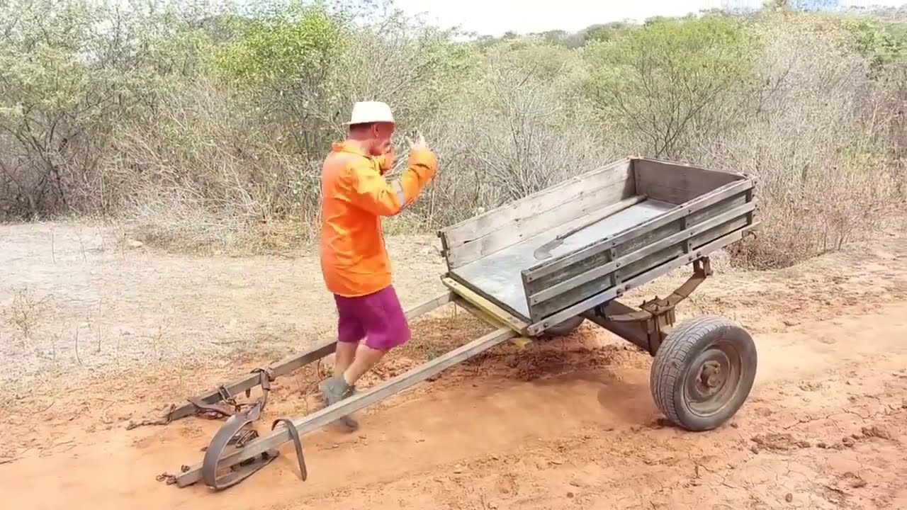 Bastidores ! Seu Mané vai buscar lenha na carroça , Seu Antônio Braga com seu Sérgio e Seu Zenildo !