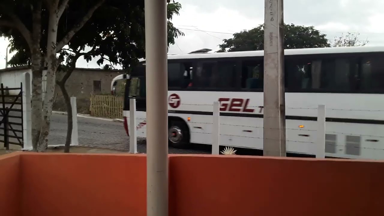 &ocirc;nibus bonito