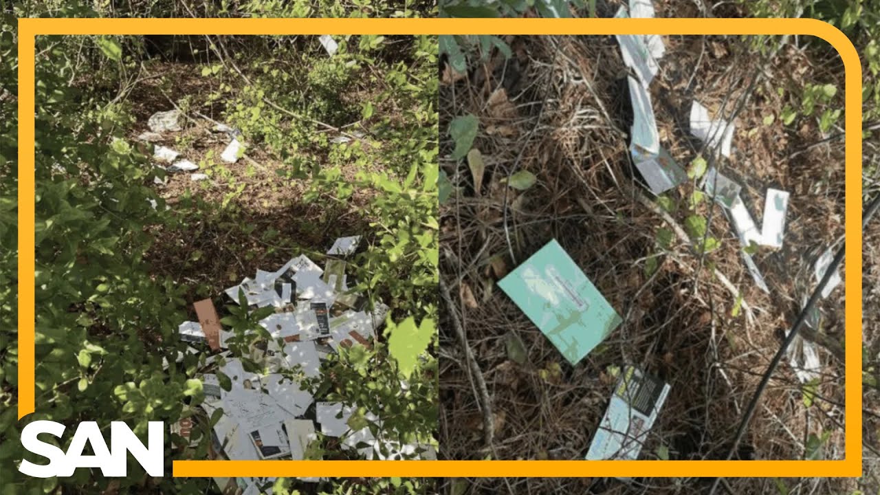 Florida postal worker arrested for dumping ballots, election mail in woods