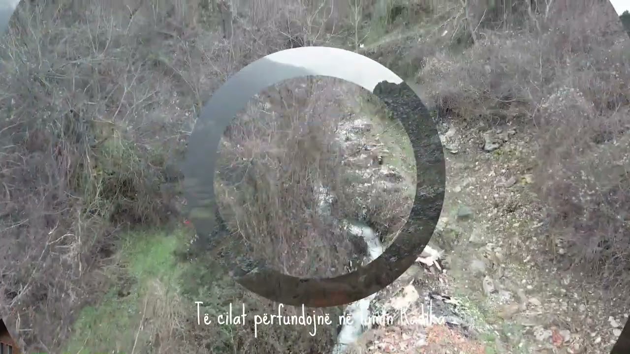 Kosovrasti1   CSCD