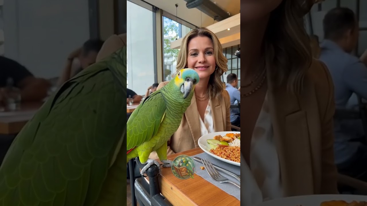 COMPILADO DE UM DIÁRIO DE UM PAPAGAIO 🦜🦜🤣🤣