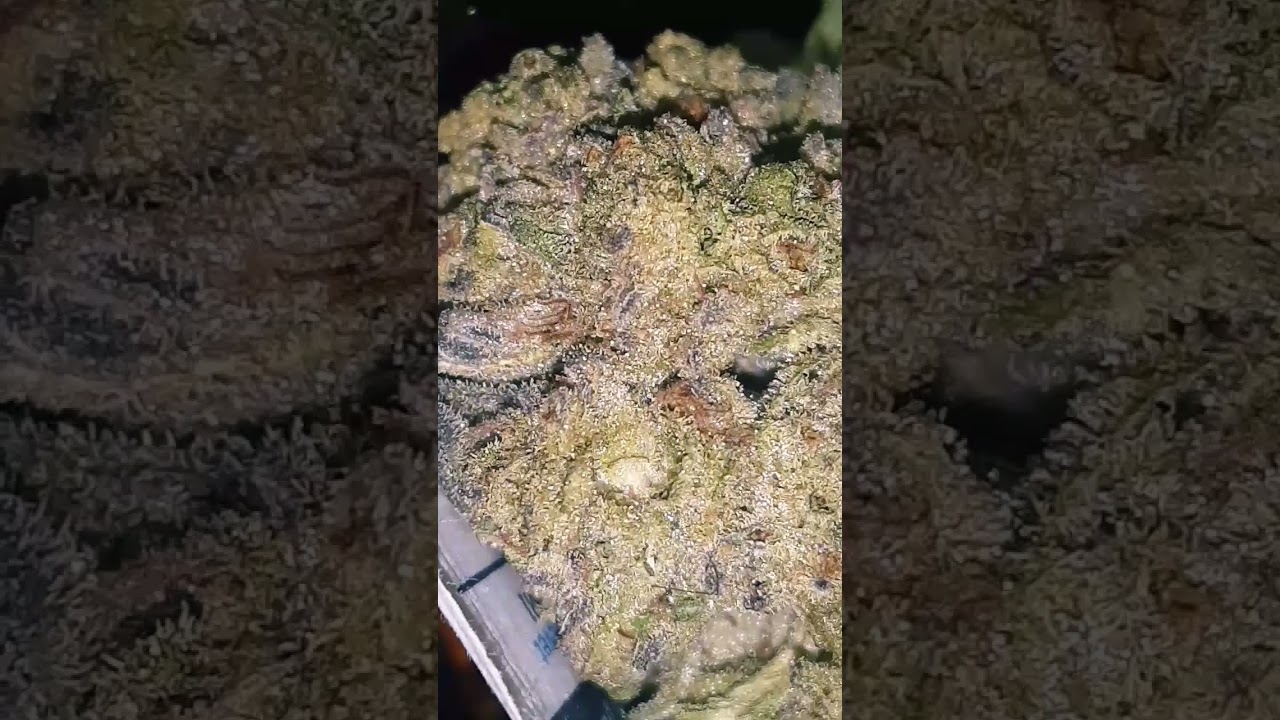 FVF Cream Filling Thca Flower FERN VALLEY FARMS