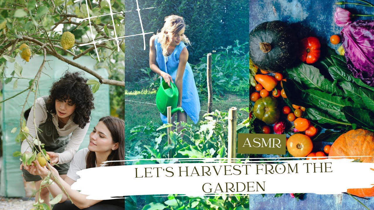 Garden Harvesting (ASMR) ~Tiktok Compilation~ 