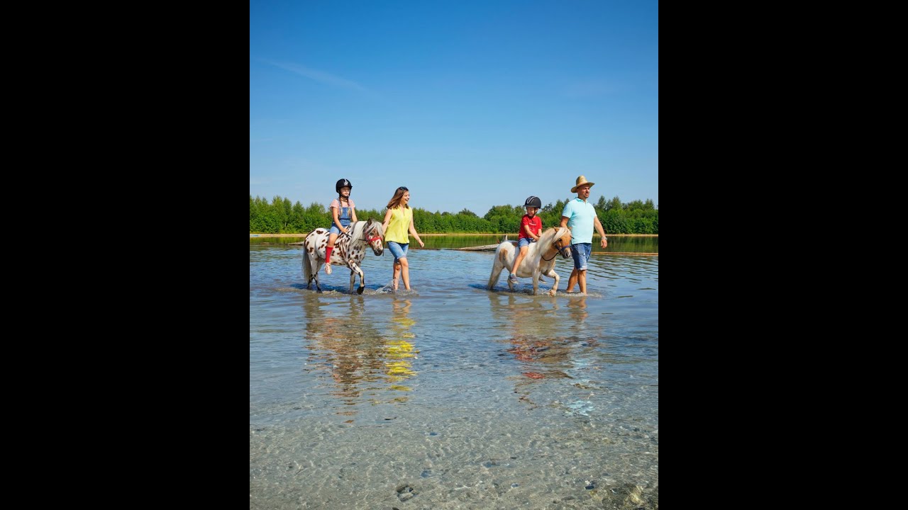PonyparkCity: Vakantiepark met 300 pony's & beach ★ Ferienpark mit 300 Ponys & Beach