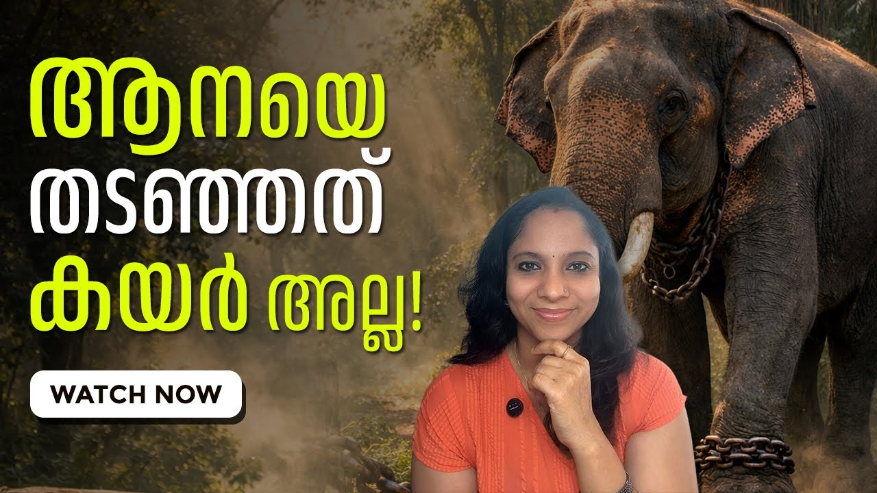 നിങ്ങളെയും ഇങ്ങനെ ഒരു “കയർ” തടയുന്നുണ്ടോ..?