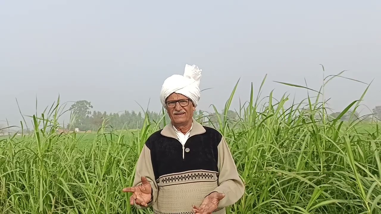 लड़की के लिए हुआ झगड़ा थार से कुचल दिया युवक दूसरे पक्ष ने उसे मारी गोली बुझ गए घरों के अकेले चिराग 