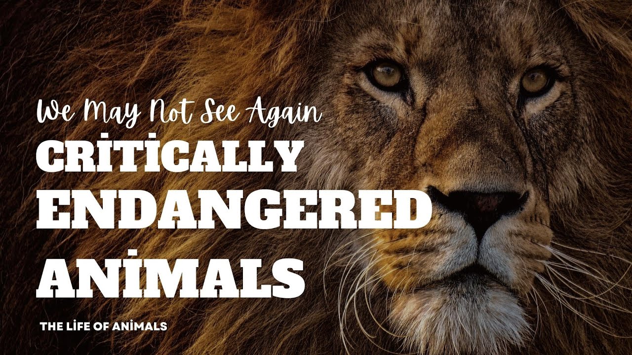 Critically Endangered Animals
