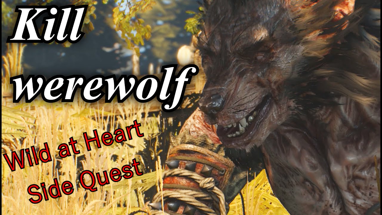 Witcher 3 - How to Kill Werewolf - Wild at Heart Full Side Quest Guide
