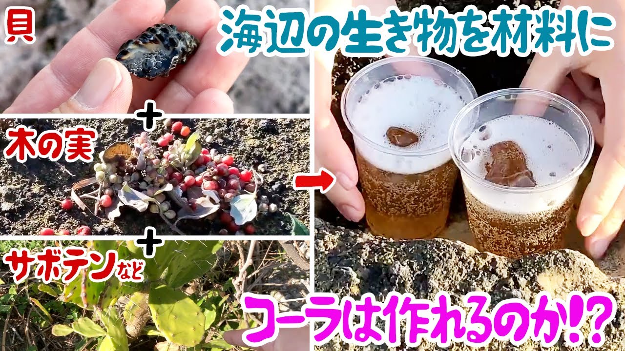海辺の生き物でコーラ作れるか！？feat.伊良コーラ