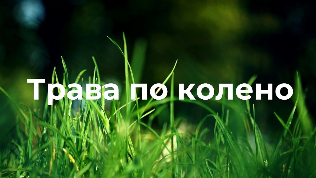 Лето не кончалось — трава по колено | русская музыка