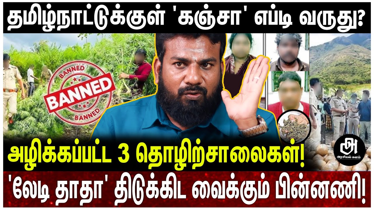 யார் இந்த லேடி தாதா; அதிரவைக்கும் கஞ்சா நெட்ஒர்க்; வசமாக சிக்கிய பின்னணி; உடைக்கும் விமலேஸ்வரன்!