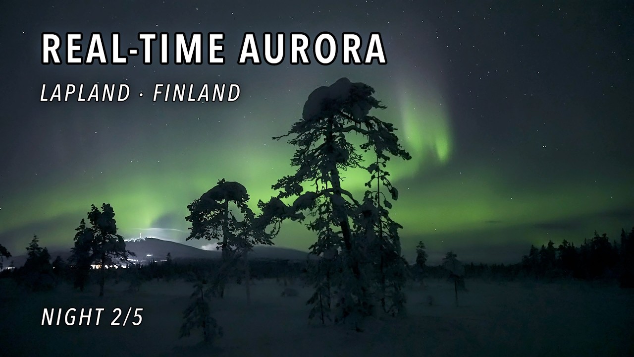Real-Time Aurora Borealis Above Frosty Pine Silhouettes in Ylläsjärvi, Lapland  – Night 2/5 [4K]