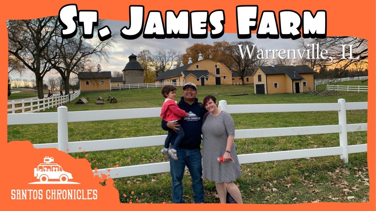 Epic Fall Foliage at ST. JAMES FARM FOREST PRESERVE | Warrenville, IL | Family Q&A Part 2
