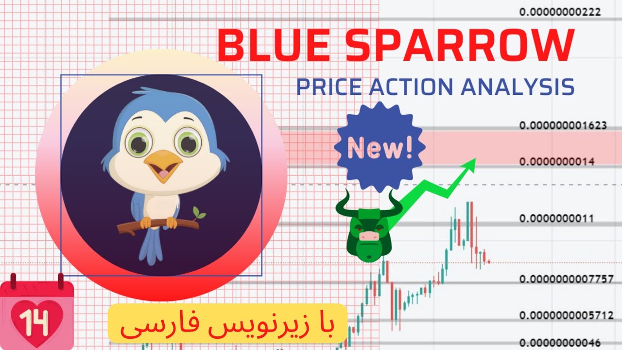 What does Price Action say about the BLUE SPARROW token? an Advice for buyers, sellers and holders..
