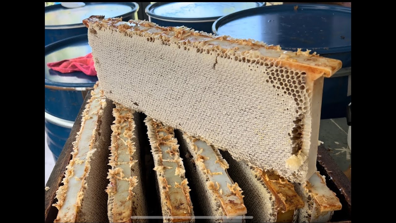 Традиционная добыча меда: несколько основных советов!