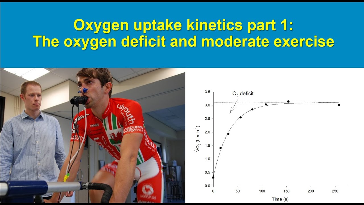 Oxygen uptake kinetics part 1: the oxygen deficit and moderate exercise