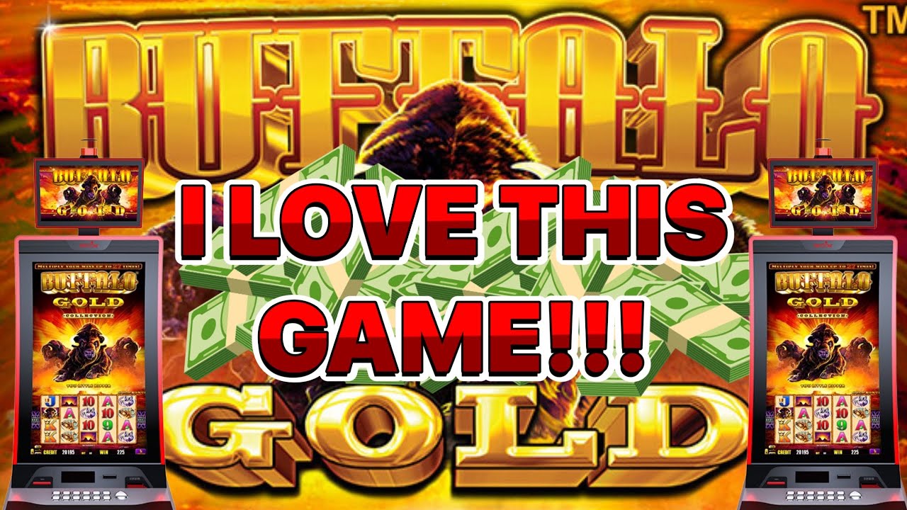 Chasing the Buffalo on *Buffalo Gold Collection*