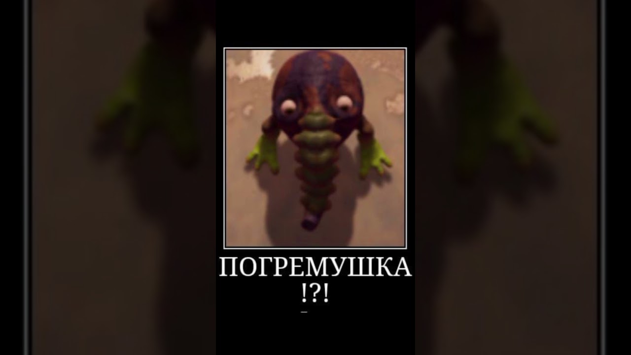 The eternal cylinder meme #theeternalcylinder #вечныйцилиндр #долгоносик #фижма #хорда