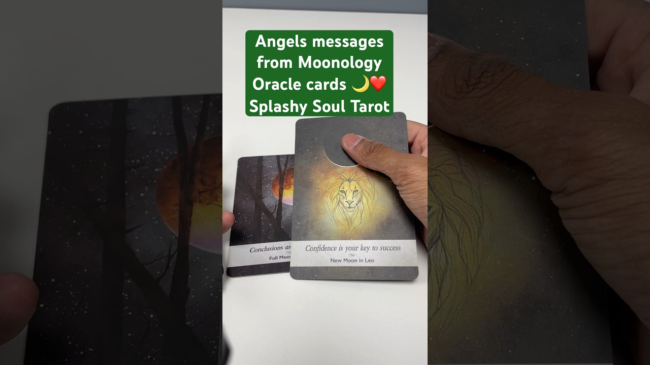 Angels messages from 🌙 moonology oracle cards #tarot #hinditarotreading #currentfeelings #relation