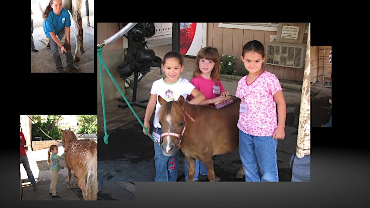 2007 LaVesta's El Camino Ranch Summer Camp