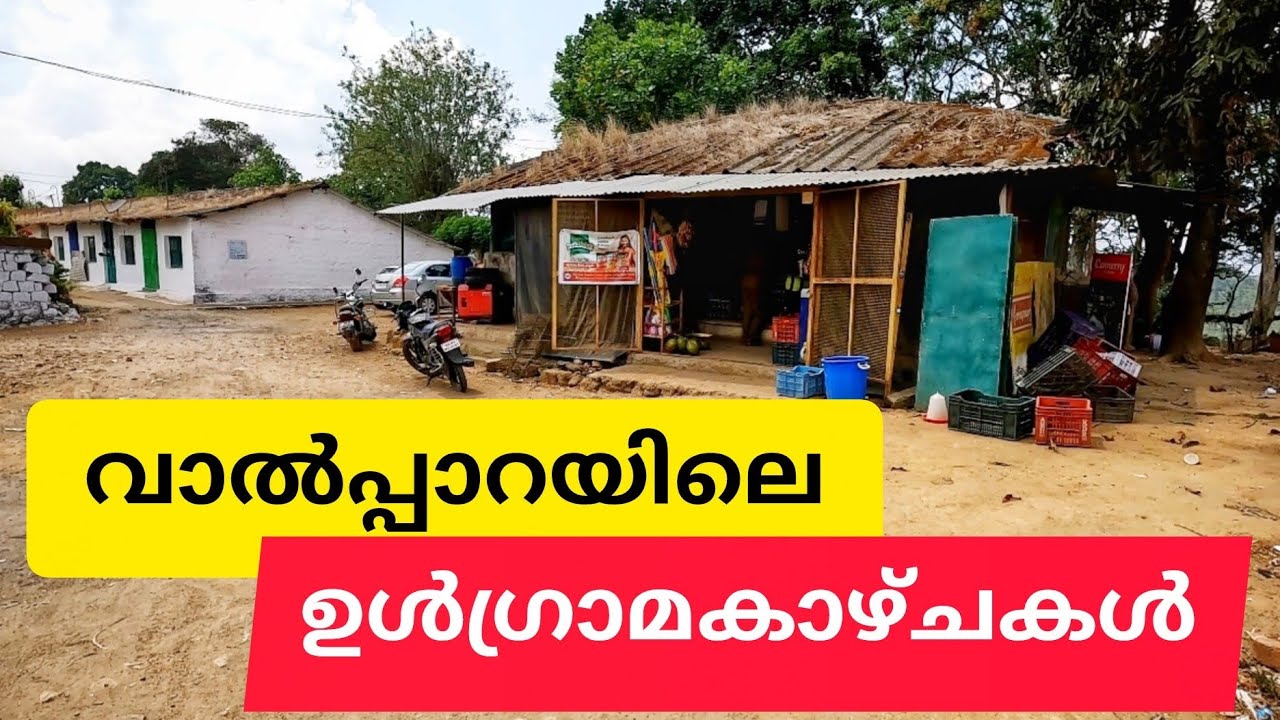 വാൽപ്പാറയിലെ ഉൾഗ്രാമ കാഴ്ചകൾ Valppara Urulikkal KoyambathurTamilnadu Vazhiyorakazhchakal vlogs