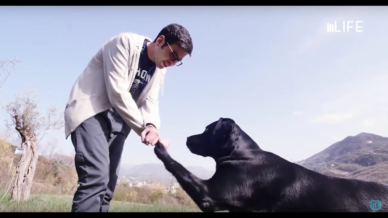 Life is Better with Friends - Si te korrigjoni pese sjellje te gabuara te qenit tuaj