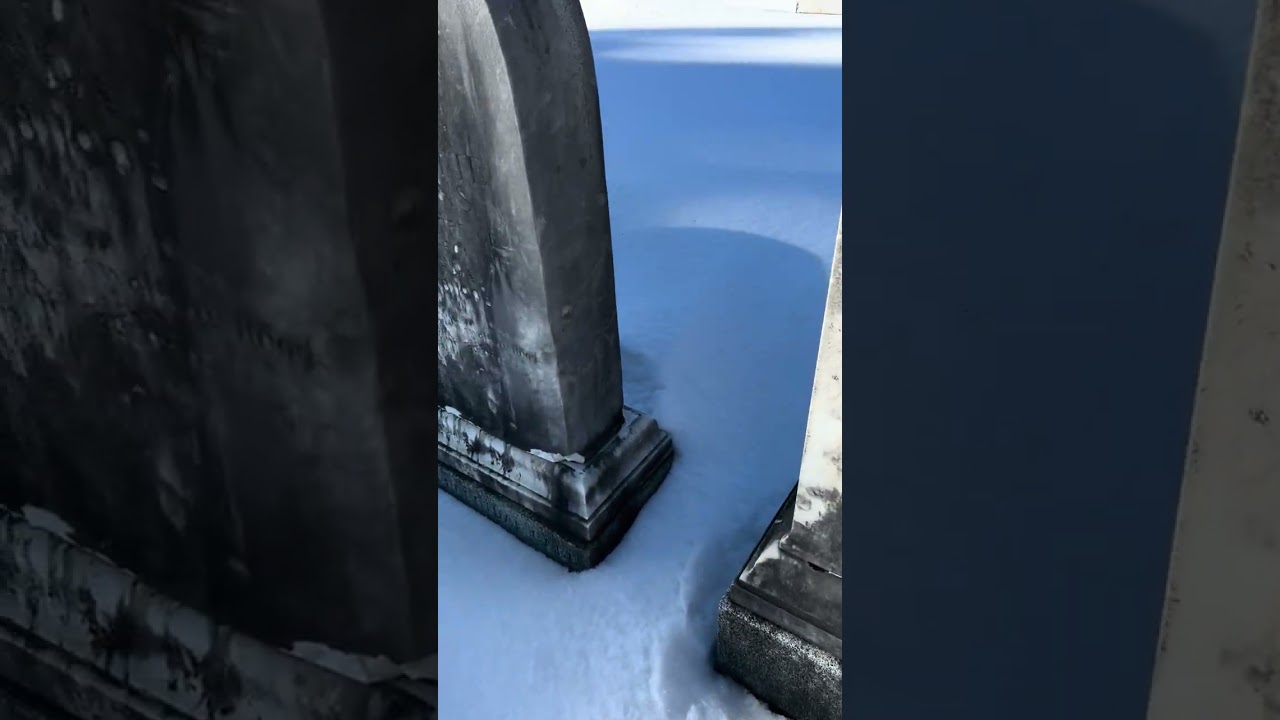 A cemetery, when you think about it, is an open air museum.