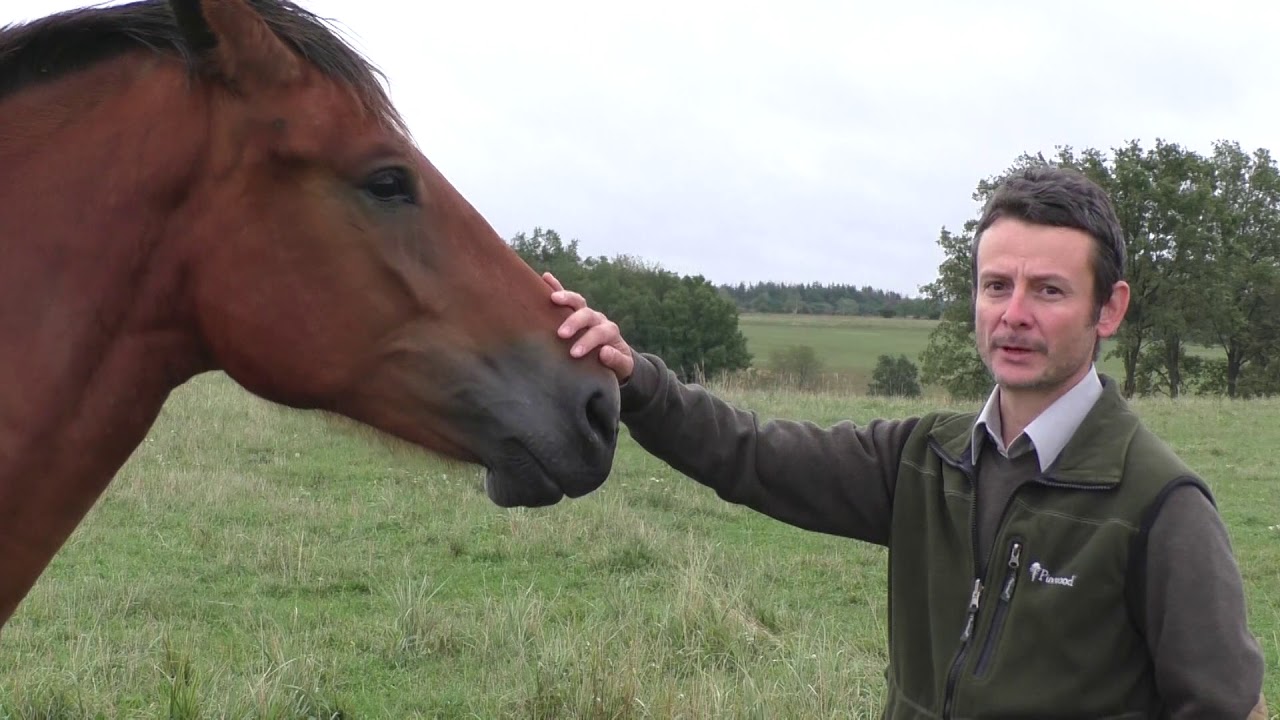 Állattartás az Őrségi Nemzeti Parkban