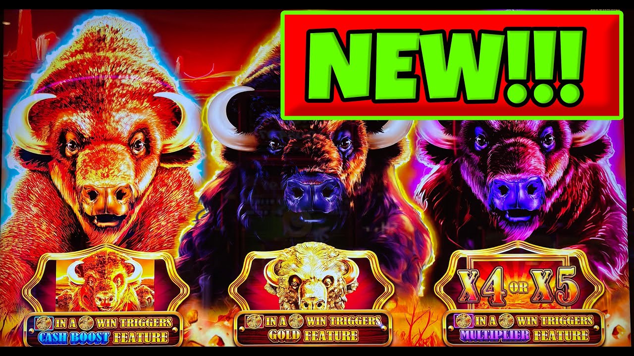 🚨🚨 I got a HUGE win on the newest Buffalo Slot!